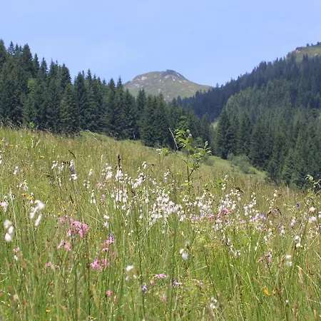 Traublingerhof - Self Check In Kirchberg en Tyrol