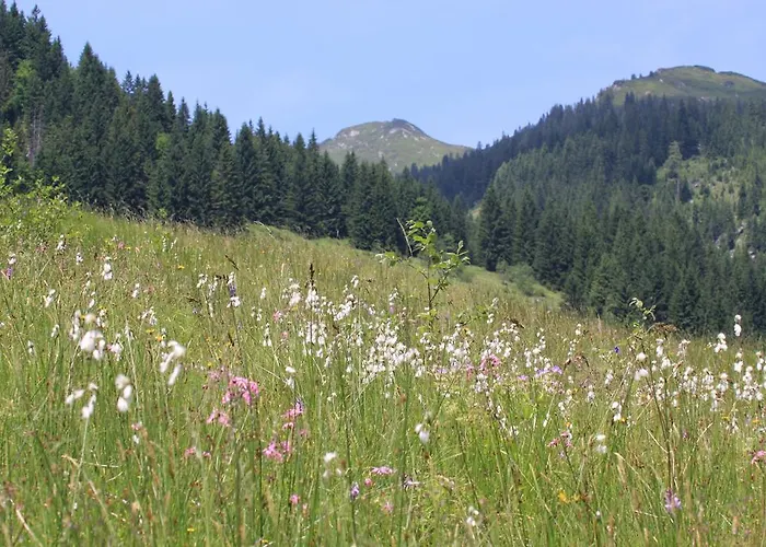 Traublingerhof - Self Check In Kirchberg in Tirol