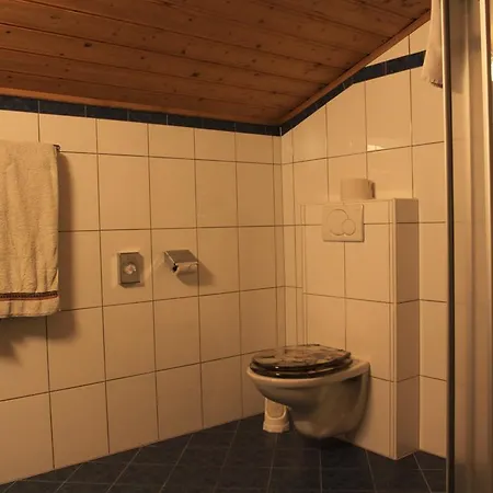 Otel Traublingerhof - Self Check In 3*